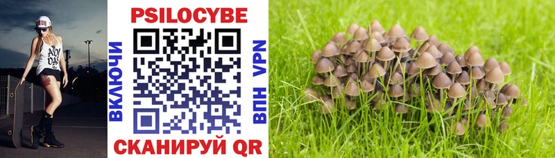 купить  сайты  Иноземцево  kraken зеркало  Псилоцибиновые грибы MAGIC MUSHROOMS 